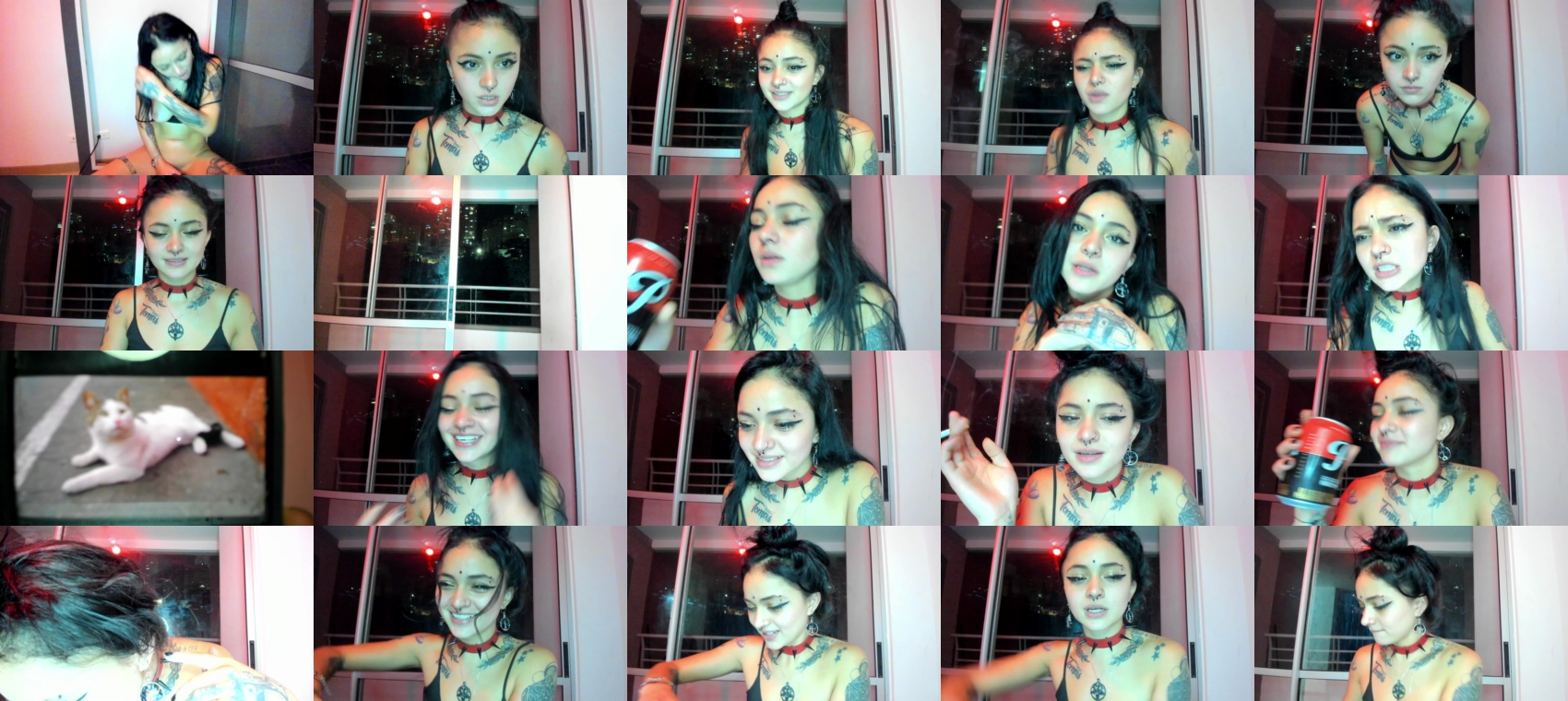 LeilaTripp  25-03-2022
